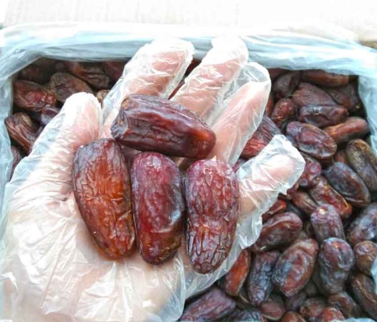 Kurma Supplier in Malaysia and Malaysia’s Date Exports