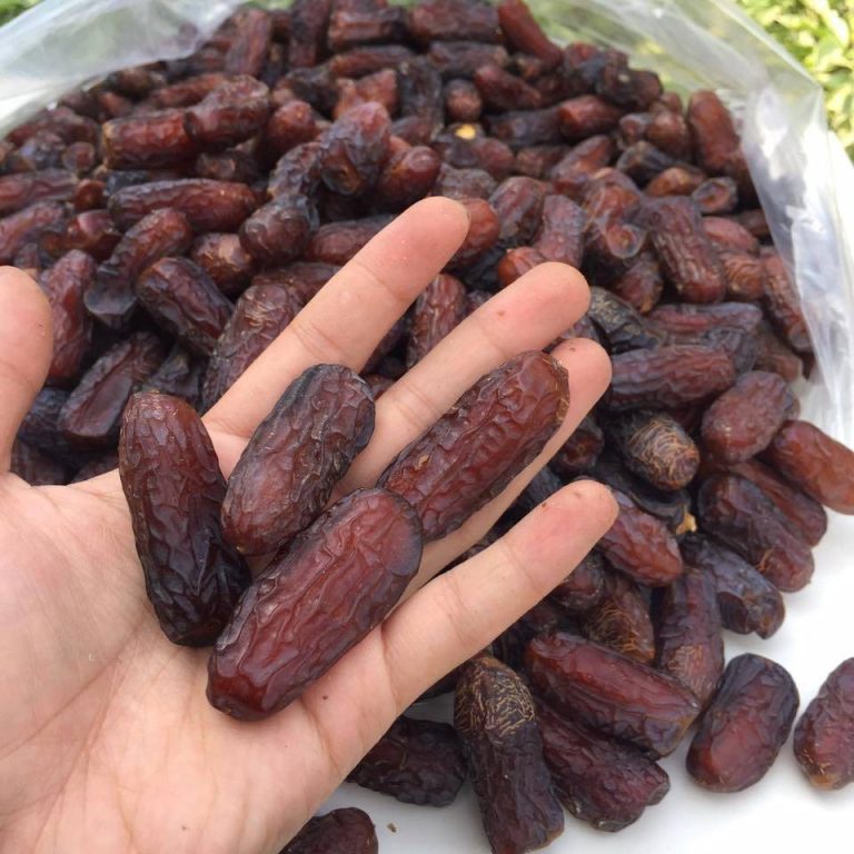 Kurma Mariami Jumbo with Exceptional Size and Flavor